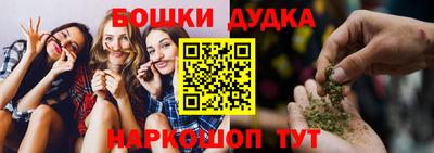 амф Гатчина