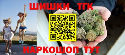 амф Гатчина