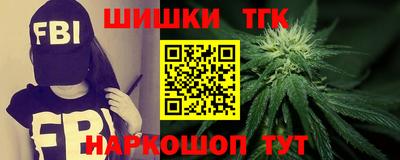 амф Гатчина