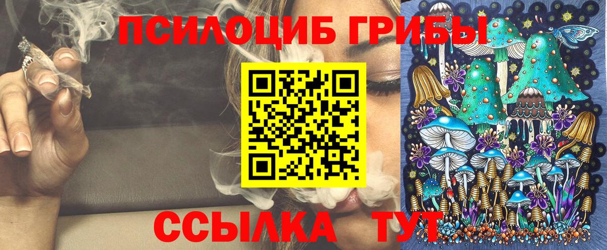 Галлюциногенные грибы GOLDEN TEACHER  Псилоцибиновые грибы Psilocybe  Карачаевск  Вход с VPN 