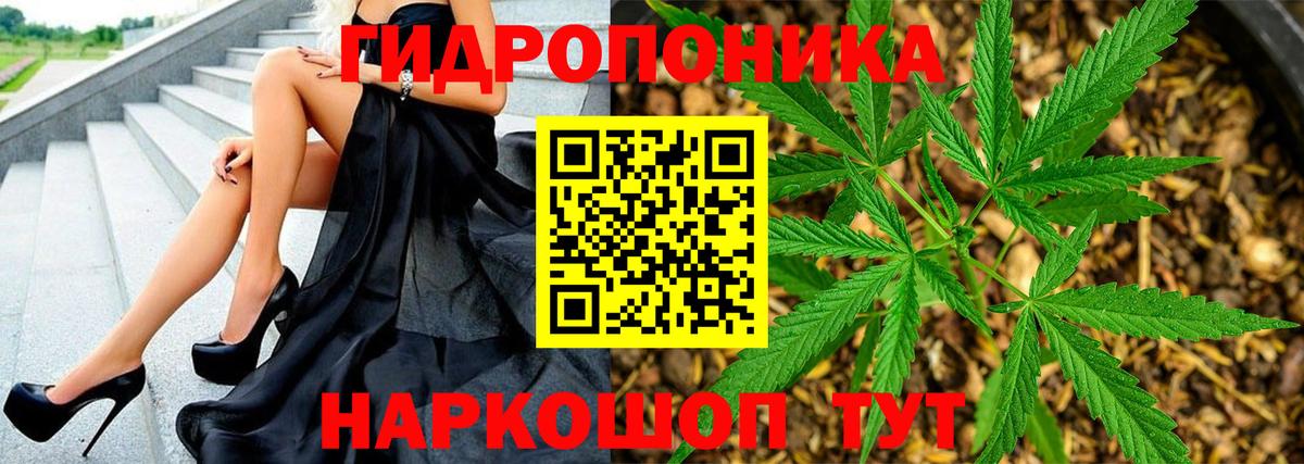 Карачаевск  Конопля конопля  Канабис план  Вход с VPN  Марихуана марихуана 